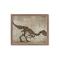 Picture of Dino Skeleton IV _GroupedProduct_Rectangle_Landscape_Mini_ _GroupedProduct_Rectangle_Landscape_Framed_Matted_