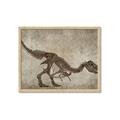 Picture of Dino Skeleton IV _GroupedProduct_Rectangle_Landscape_Mini_ _GroupedProduct_Rectangle_Landscape_Framed_Matted_