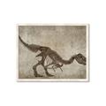 Picture of Dino Skeleton IV _GroupedProduct_Rectangle_Landscape_Mini_ _GroupedProduct_Rectangle_Landscape_Framed_Matted_