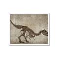 Picture of Dino Skeleton IV _GroupedProduct_Rectangle_Landscape_Mini_ _GroupedProduct_Rectangle_Landscape_Framed_Matted_