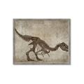 Picture of Dino Skeleton IV _GroupedProduct_Rectangle_Landscape_Mini_ _GroupedProduct_Rectangle_Landscape_Framed_Matted_