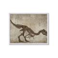 Picture of Dino Skeleton IV _GroupedProduct_Rectangle_Landscape_Mini_ _GroupedProduct_Rectangle_Landscape_Framed_Matted_
