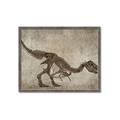 Picture of Dino Skeleton IV _GroupedProduct_Rectangle_Landscape_Mini_ _GroupedProduct_Rectangle_Landscape_Framed_Matted_