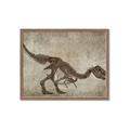 Picture of Dino Skeleton IV _GroupedProduct_Rectangle_Landscape_Mini_ _GroupedProduct_Rectangle_Landscape_Framed_Matted_
