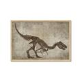 Picture of Dino Skeleton IV _GroupedProduct_Rectangle_Landscape_Mini_ _GroupedProduct_Rectangle_Landscape_Framed_Matted_