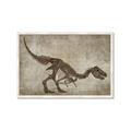 Picture of Dino Skeleton IV _GroupedProduct_Rectangle_Landscape_Mini_ _GroupedProduct_Rectangle_Landscape_Framed_Matted_