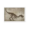 Picture of Dino Skeleton IV _GroupedProduct_Rectangle_Landscape_Mini_ _GroupedProduct_Rectangle_Landscape_Framed_Matted_