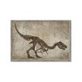 Picture of Dino Skeleton IV _GroupedProduct_Rectangle_Landscape_Mini_ _GroupedProduct_Rectangle_Landscape_Framed_Matted_