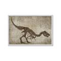 Picture of Dino Skeleton IV _GroupedProduct_Rectangle_Landscape_Mini_ _GroupedProduct_Rectangle_Landscape_Framed_Matted_