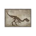 Picture of Dino Skeleton IV _GroupedProduct_Rectangle_Landscape_Mini_ _GroupedProduct_Rectangle_Landscape_Framed_Matted_