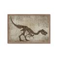 Picture of Dino Skeleton IV _GroupedProduct_Rectangle_Landscape_Mini_ _GroupedProduct_Rectangle_Landscape_Framed_Matted_
