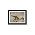 Picture of Dino Skeleton IV _GroupedProduct_Rectangle_Landscape_Mini_ _GroupedProduct_Rectangle_Landscape_Framed_Matted_