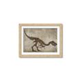 Picture of Dino Skeleton IV _GroupedProduct_Rectangle_Landscape_Mini_ _GroupedProduct_Rectangle_Landscape_Framed_Matted_