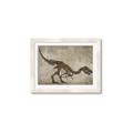 Picture of Dino Skeleton IV _GroupedProduct_Rectangle_Landscape_Mini_ _GroupedProduct_Rectangle_Landscape_Framed_Matted_
