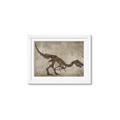 Picture of Dino Skeleton IV _GroupedProduct_Rectangle_Landscape_Mini_ _GroupedProduct_Rectangle_Landscape_Framed_Matted_