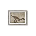 Picture of Dino Skeleton IV _GroupedProduct_Rectangle_Landscape_Mini_ _GroupedProduct_Rectangle_Landscape_Framed_Matted_