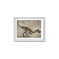 Picture of Dino Skeleton IV _GroupedProduct_Rectangle_Landscape_Mini_ _GroupedProduct_Rectangle_Landscape_Framed_Matted_