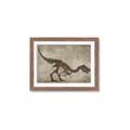Picture of Dino Skeleton IV _GroupedProduct_Rectangle_Landscape_Mini_ _GroupedProduct_Rectangle_Landscape_Framed_Matted_