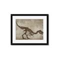 Picture of Dino Skeleton IV _GroupedProduct_Rectangle_Landscape_Mini_ _GroupedProduct_Rectangle_Landscape_Framed_Matted_