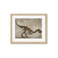 Picture of Dino Skeleton IV _GroupedProduct_Rectangle_Landscape_Mini_ _GroupedProduct_Rectangle_Landscape_Framed_Matted_