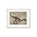 Picture of Dino Skeleton IV _GroupedProduct_Rectangle_Landscape_Mini_ _GroupedProduct_Rectangle_Landscape_Framed_Matted_