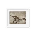 Picture of Dino Skeleton IV _GroupedProduct_Rectangle_Landscape_Mini_ _GroupedProduct_Rectangle_Landscape_Framed_Matted_