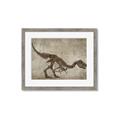 Picture of Dino Skeleton IV _GroupedProduct_Rectangle_Landscape_Mini_ _GroupedProduct_Rectangle_Landscape_Framed_Matted_