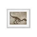 Picture of Dino Skeleton IV _GroupedProduct_Rectangle_Landscape_Mini_ _GroupedProduct_Rectangle_Landscape_Framed_Matted_