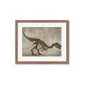 Picture of Dino Skeleton IV _GroupedProduct_Rectangle_Landscape_Mini_ _GroupedProduct_Rectangle_Landscape_Framed_Matted_