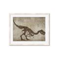 Picture of Dino Skeleton IV _GroupedProduct_Rectangle_Landscape_Mini_ _GroupedProduct_Rectangle_Landscape_Framed_Matted_