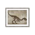 Picture of Dino Skeleton IV _GroupedProduct_Rectangle_Landscape_Mini_ _GroupedProduct_Rectangle_Landscape_Framed_Matted_