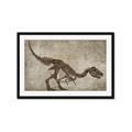 Picture of Dino Skeleton IV _GroupedProduct_Rectangle_Landscape_Mini_ _GroupedProduct_Rectangle_Landscape_Framed_Matted_