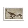 Picture of Dino Skeleton IV _GroupedProduct_Rectangle_Landscape_Mini_ _GroupedProduct_Rectangle_Landscape_Framed_Matted_