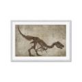 Picture of Dino Skeleton IV _GroupedProduct_Rectangle_Landscape_Mini_ _GroupedProduct_Rectangle_Landscape_Framed_Matted_