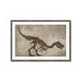 Picture of Dino Skeleton IV _GroupedProduct_Rectangle_Landscape_Mini_ _GroupedProduct_Rectangle_Landscape_Framed_Matted_