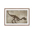 Picture of Dino Skeleton IV _GroupedProduct_Rectangle_Landscape_Mini_ _GroupedProduct_Rectangle_Landscape_Framed_Matted_