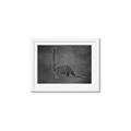 Picture of Geo Dino II Black  _GroupedProduct_Rectangle_Landscape_Mini_ _GroupedProduct_Rectangle_Landscape_Framed_Matted_