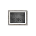 Picture of Geo Dino II Black  _GroupedProduct_Rectangle_Landscape_Mini_ _GroupedProduct_Rectangle_Landscape_Framed_Matted_