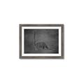Picture of Geo Dino II Black  _GroupedProduct_Rectangle_Landscape_Mini_ _GroupedProduct_Rectangle_Landscape_Framed_Matted_