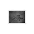 Picture of Geo Dino I Black  _GroupedProduct_Rectangle_Landscape_Mini_ _GroupedProduct_Rectangle_Landscape_Framed_Matted_
