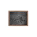 Picture of Geo Dino I Black  _GroupedProduct_Rectangle_Landscape_Mini_ _GroupedProduct_Rectangle_Landscape_Framed_Matted_
