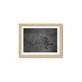 Picture of Geo Dino I Black  _GroupedProduct_Rectangle_Landscape_Mini_ _GroupedProduct_Rectangle_Landscape_Framed_Matted_