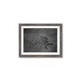 Picture of Geo Dino I Black  _GroupedProduct_Rectangle_Landscape_Mini_ _GroupedProduct_Rectangle_Landscape_Framed_Matted_