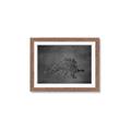 Picture of Geo Dino I Black  _GroupedProduct_Rectangle_Landscape_Mini_ _GroupedProduct_Rectangle_Landscape_Framed_Matted_