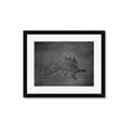 Picture of Geo Dino I Black  _GroupedProduct_Rectangle_Landscape_Mini_ _GroupedProduct_Rectangle_Landscape_Framed_Matted_