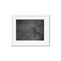 Picture of Geo Dino I Black  _GroupedProduct_Rectangle_Landscape_Mini_ _GroupedProduct_Rectangle_Landscape_Framed_Matted_