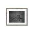Picture of Geo Dino I Black  _GroupedProduct_Rectangle_Landscape_Mini_ _GroupedProduct_Rectangle_Landscape_Framed_Matted_