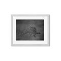 Picture of Geo Dino I Black  _GroupedProduct_Rectangle_Landscape_Mini_ _GroupedProduct_Rectangle_Landscape_Framed_Matted_