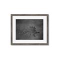 Picture of Geo Dino I Black  _GroupedProduct_Rectangle_Landscape_Mini_ _GroupedProduct_Rectangle_Landscape_Framed_Matted_