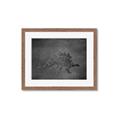 Picture of Geo Dino I Black  _GroupedProduct_Rectangle_Landscape_Mini_ _GroupedProduct_Rectangle_Landscape_Framed_Matted_